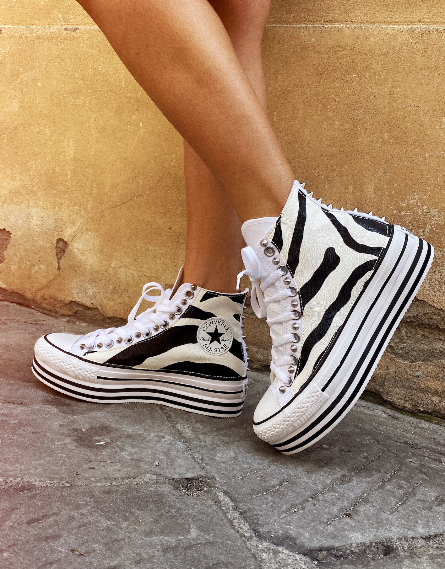 converse zebrate